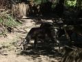 Zoo Cottbus 114